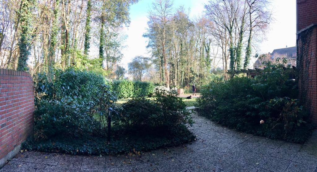 Ferienwohnung Am Muehlenpark ティメンドルファー・シュトラント エクステリア 写真